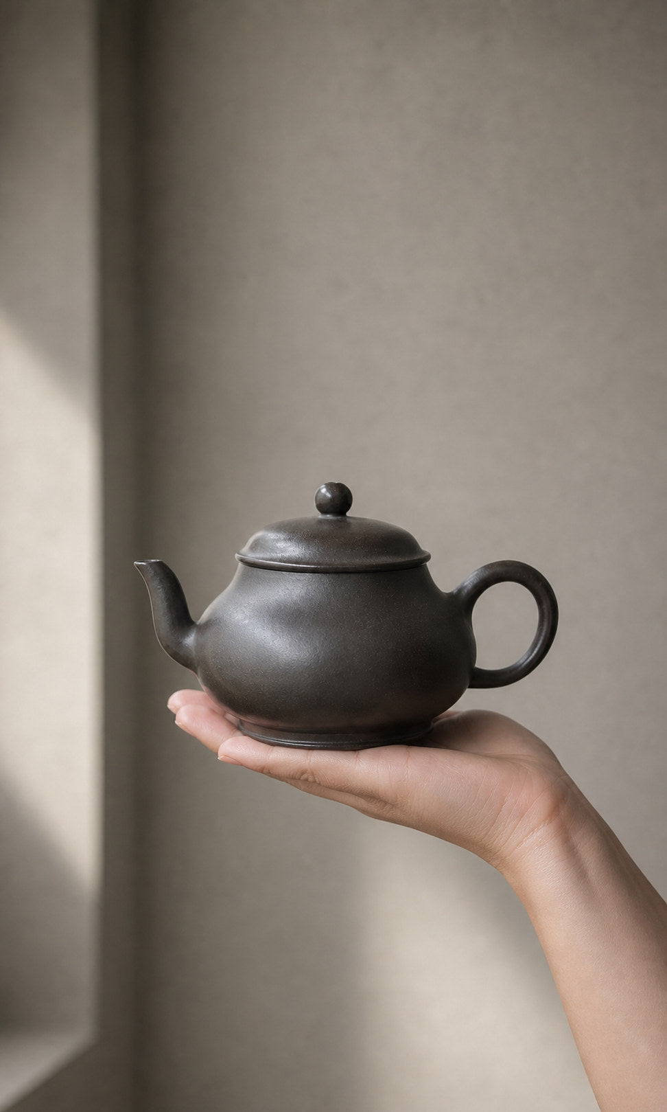 Hei Duntou Pan Hu teapot held in one hand for scale
