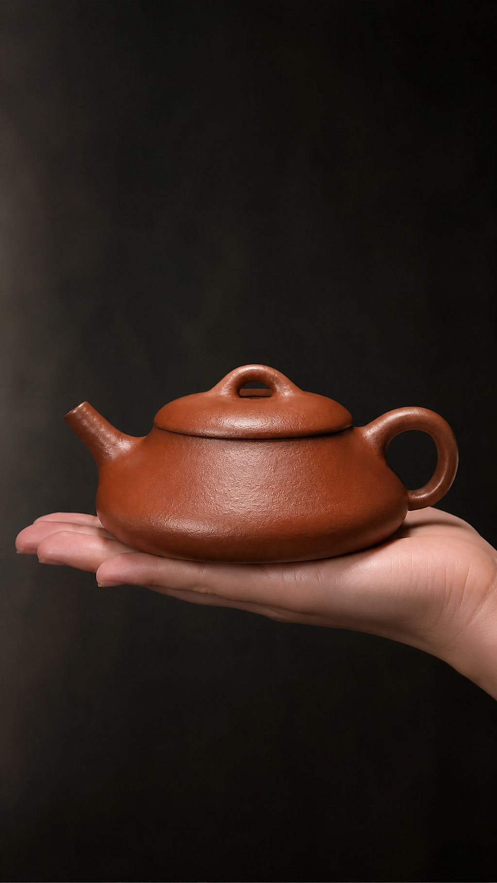 Product view 2 of 130ml Shipiao zisha teapot in Jiangponi Clay, No. 109