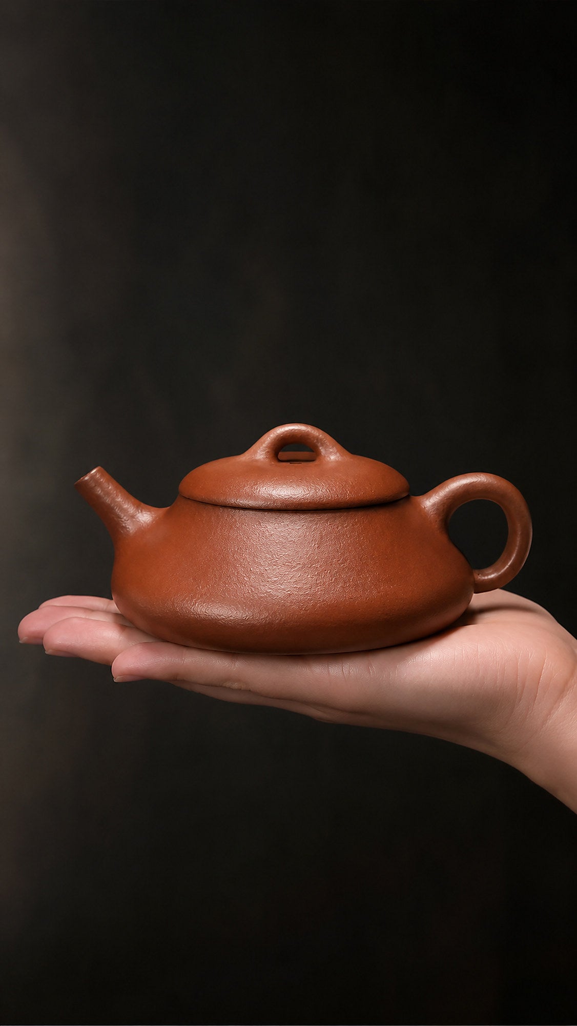 Product view 2 of 130ml Shipiao zisha teapot in Jiangponi Clay, No. 109