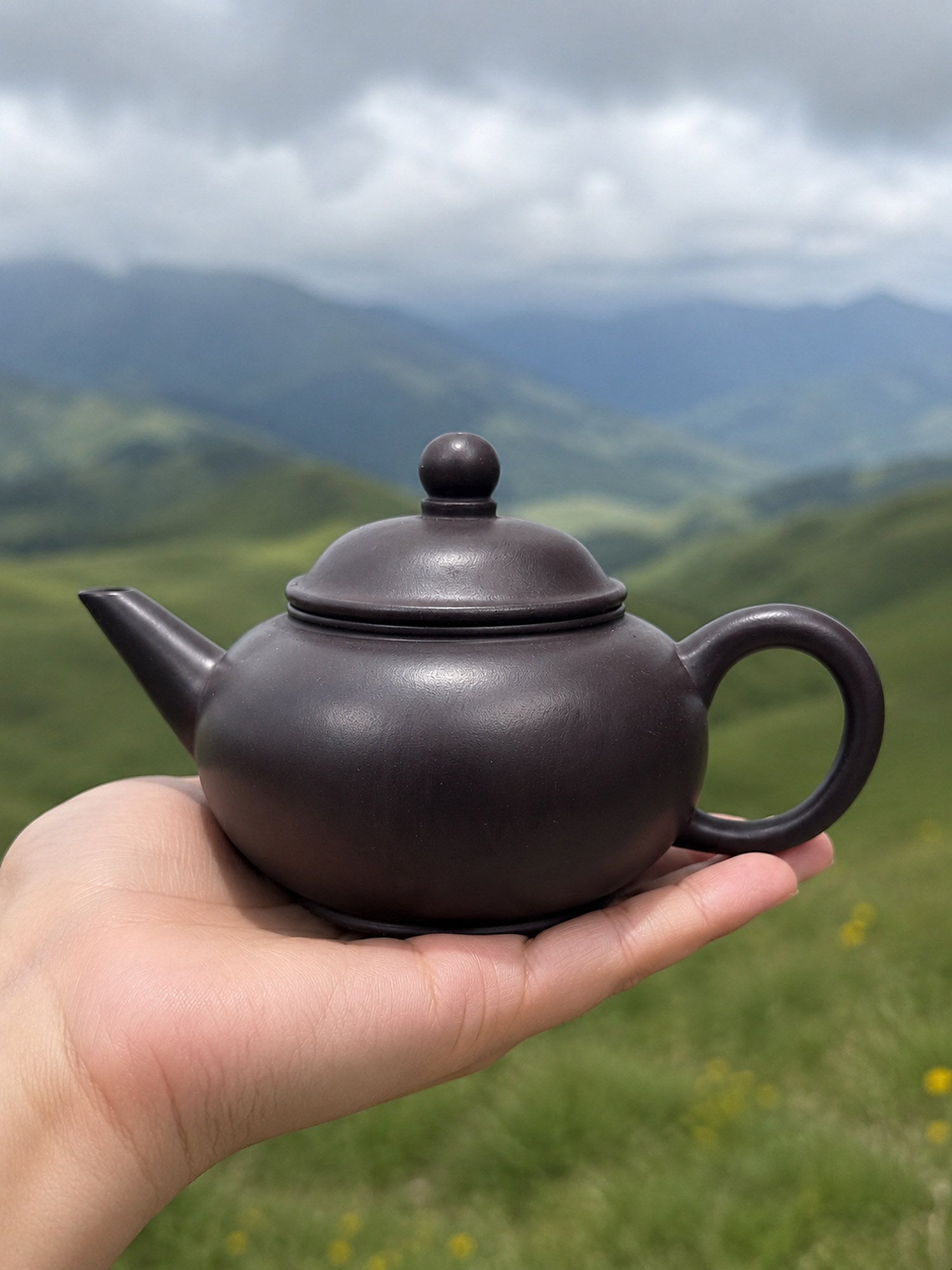 Product view 2 of 200ml Shuiping zisha teapot in Hei Duntou Clay, No. 134