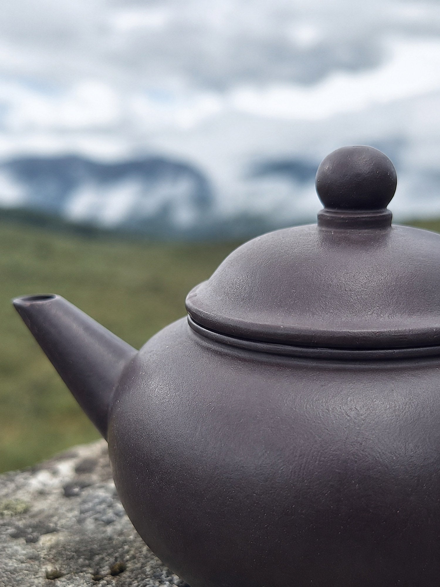 Product view 5 of 200ml Shuiping zisha teapot in Hei Duntou Clay, No. 134