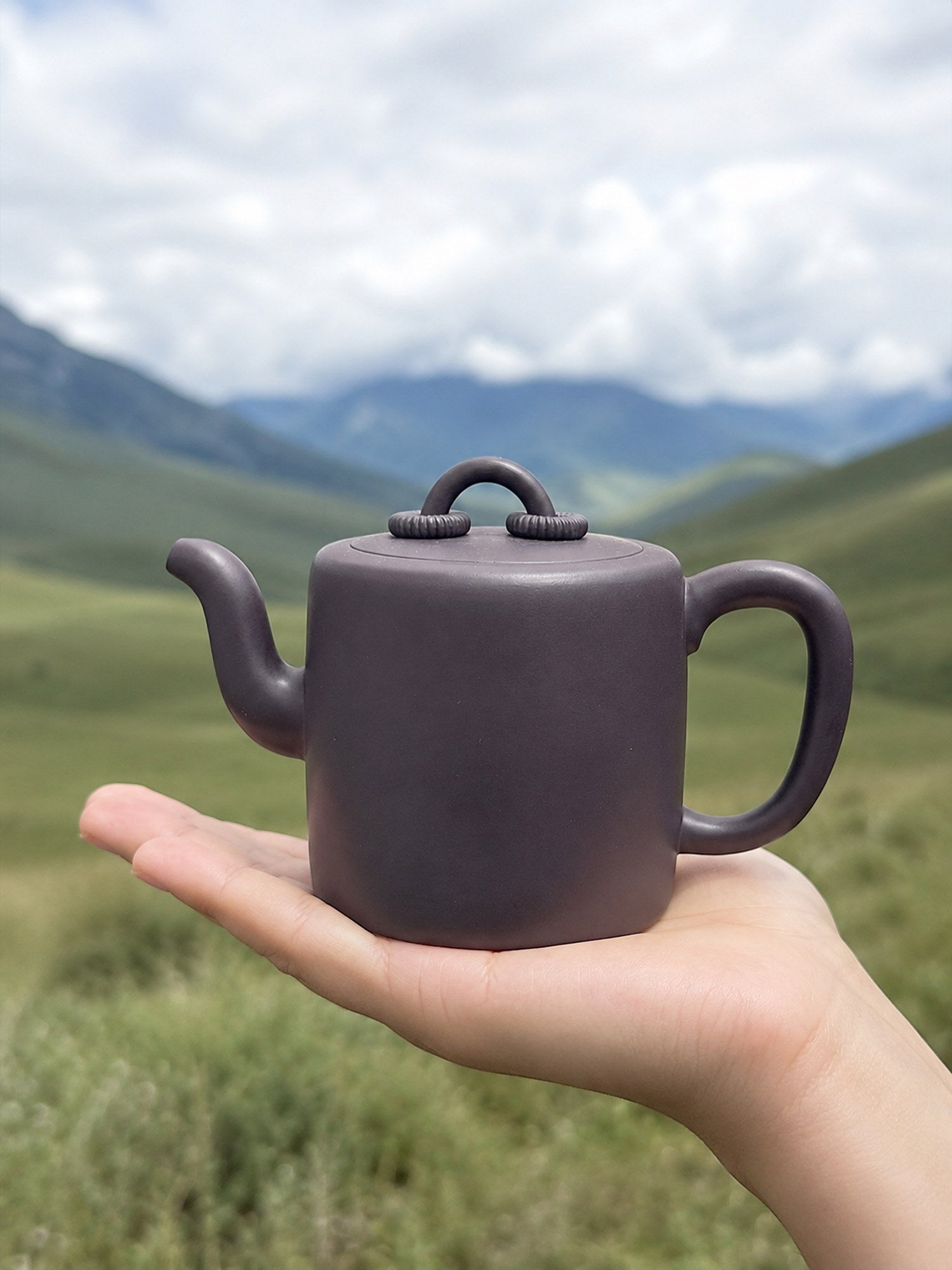 Product view 2 of 330ml Yang Tong zisha teapot in Hei Duntou Clay, No. 133